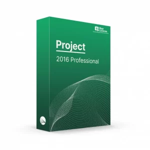 Project 2016 Professional